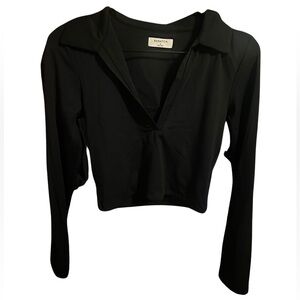 Aritzia babaton contour long sleeve polo